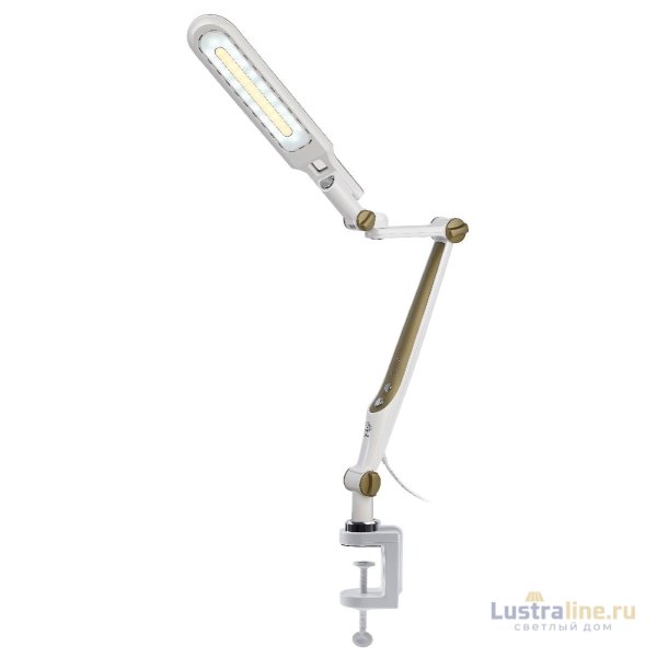 Настольная лампа Эра NLED-496-12W-G Б0052769