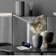 Настольная лампа Escada Kale 10242/1LED