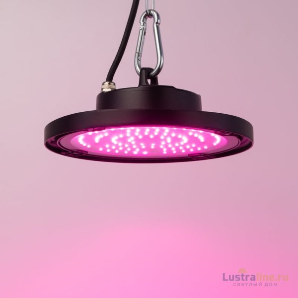 Фитопрожектор для растений Эра FITO-50W-RB-LED-UFO Б0053280 Фитопрожектор для растений Эра FITO-50W-RB-LED-UFO Б0053280