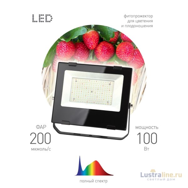 Фитопрожектор для растений ЭРА FITO-100W-Ra90-LED Б0047876 Фитопрожектор для растений ЭРА FITO-100W-Ra90-LED Б0047876