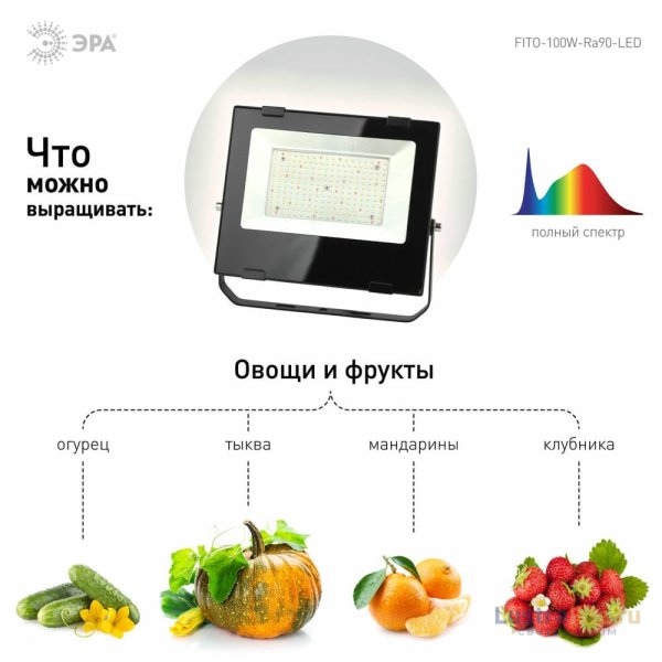 Фитопрожектор для растений ЭРА FITO-100W-Ra90-LED Б0047876 Фитопрожектор для растений ЭРА FITO-100W-Ra90-LED Б0047876