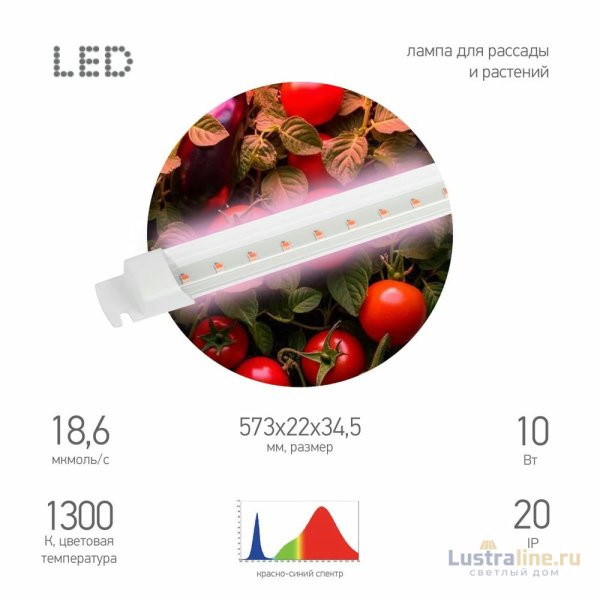 Светильник для растений Эра FITO-10W-Т5-PL-Slim-GR Б0066958 Светильник для растений Эра FITO-10W-Т5-PL-Slim-GR Б0066958