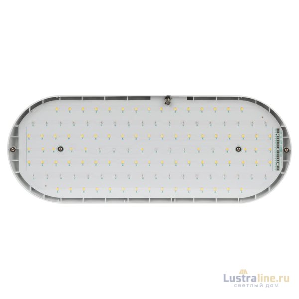 Подвесной светильник для растений Эра FITO-25W-QLED-FLY Б0053062 Подвесной светильник для растений Эра FITO-25W-QLED-FLY Б0053062