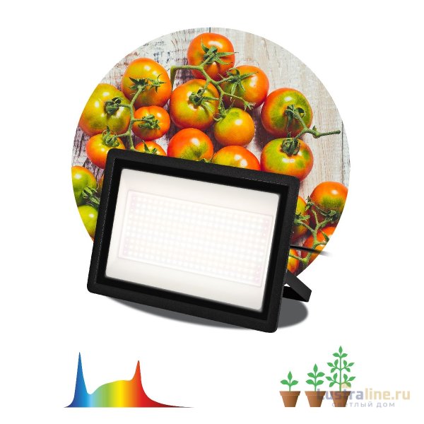 Фитопрожектор Эра FITO-150W-Ra90-LED Б0059880 Фитопрожектор Эра FITO-150W-Ra90-LED Б0059880
