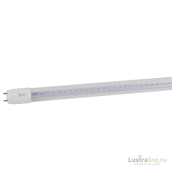 Фитолампа для растений Эра FITO-18W-RB-Т8-G13-NL Б0042990 Фитолампа для растений Эра FITO-18W-RB-Т8-G13-NL Б0042990