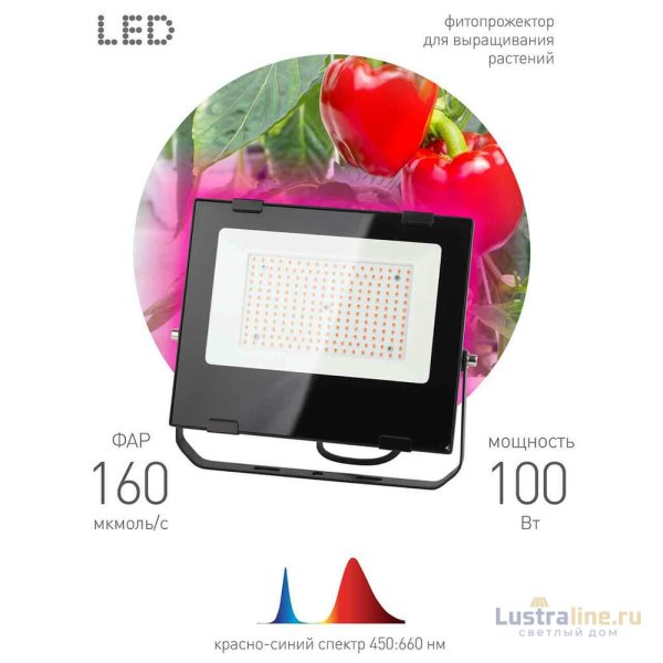 Фитопрожектор для растений ЭРА FITO-100W-RB-LED Б0046369 Фитопрожектор для растений ЭРА FITO-100W-RB-LED Б0046369