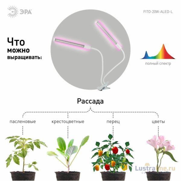 Светильник для растений на прищепке ЭРА FITO-20W-АLED-L Б0049550 Светильник для растений на прищепке ЭРА FITO-20W-АLED-L Б0049550