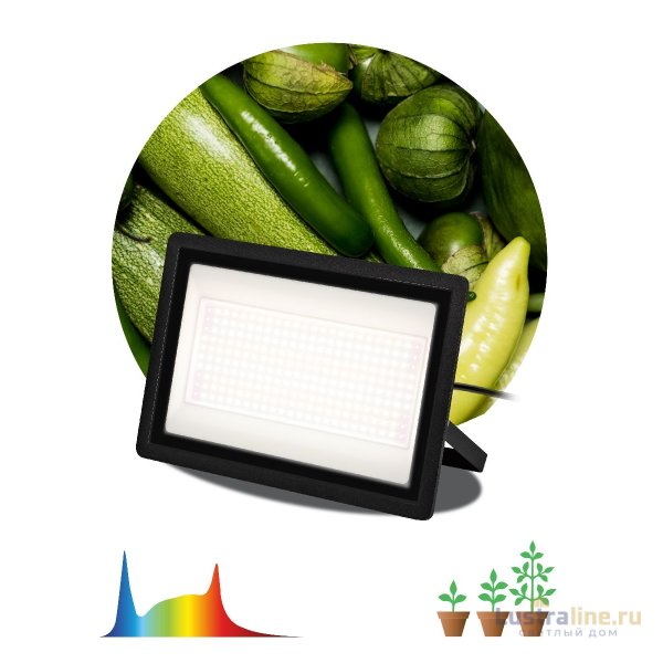 Фитопрожектор Эра FITO-200W-Ra90-LED Б0059879