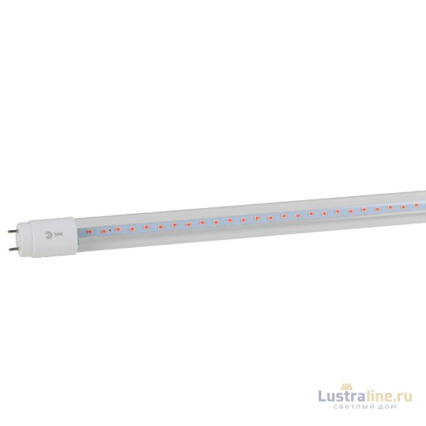 Фитолампа для растений Эра FITO-18W-RB-Т8-G13-NL Б0042990 Фитолампа для растений Эра FITO-18W-RB-Т8-G13-NL Б0042990