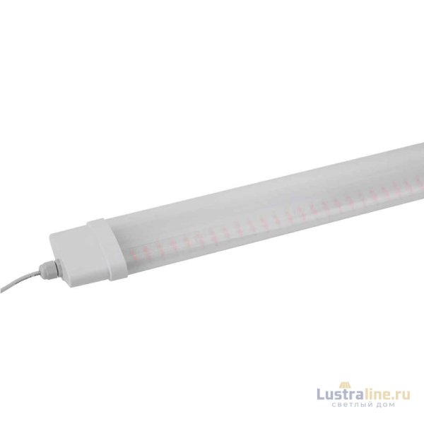 Светильник для растений ЭРА FITO-36W-RB-N Б0045697 Светильник для растений ЭРА FITO-36W-RB-N Б0045697