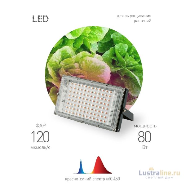 Фитопрожектор для растений Эра FITO-80W-RB-LED-Y Б0053082 Фитопрожектор для растений Эра FITO-80W-RB-LED-Y Б0053082