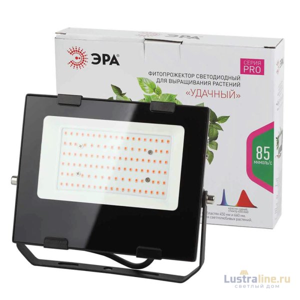 Фитопрожектор для растений ЭРА FITO-50W-RB-LED Б0046368 Фитопрожектор для растений ЭРА FITO-50W-RB-LED Б0046368