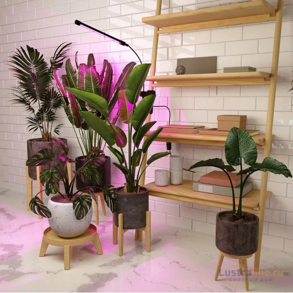 Светодиодный светильник для растений Elektrostandard FT-004 4690389167416 Светодиодный светильник для растений Elektrostandard FT-004 4690389167416