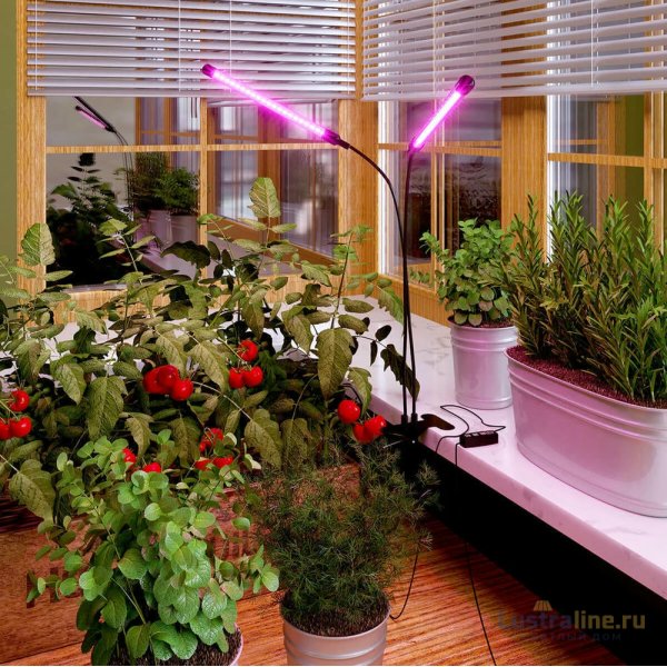 Светодиодный светильник для растений Elektrostandard FT-005 4690389167423 Светодиодный светильник для растений Elektrostandard FT-005 4690389167423