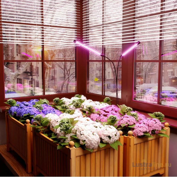 Светодиодный светильник для растений Elektrostandard FT-005 4690389167423 Светодиодный светильник для растений Elektrostandard FT-005 4690389167423