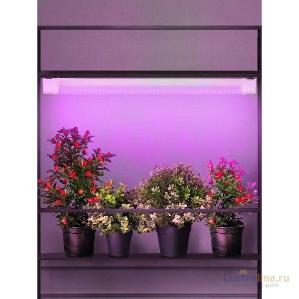 Светильник для растений Эра FITO-24W-RB-N Б0061425 Светильник для растений Эра FITO-24W-RB-N Б0061425