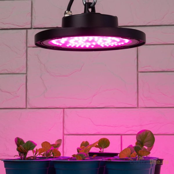 Фитопрожектор для растений Эра FITO-50W-RB-LED-UFO Б0053280 Фитопрожектор для растений Эра FITO-50W-RB-LED-UFO Б0053280