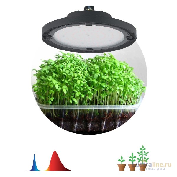 Фитопрожектор для растений Эра FITO-50W-RB-LED-UFO Б0053280 Фитопрожектор для растений Эра FITO-50W-RB-LED-UFO Б0053280