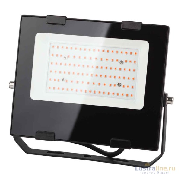 Фитопрожектор для растений ЭРА FITO-50W-RB-LED Б0046368 Фитопрожектор для растений ЭРА FITO-50W-RB-LED Б0046368