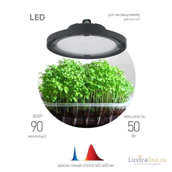 Фитопрожектор для растений Эра FITO-50W-RB-LED-UFO Б0053280 Фитопрожектор для растений Эра FITO-50W-RB-LED-UFO Б0053280