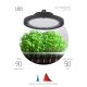 Фитопрожектор для растений Эра FITO-50W-RB-LED-UFO Б0053280