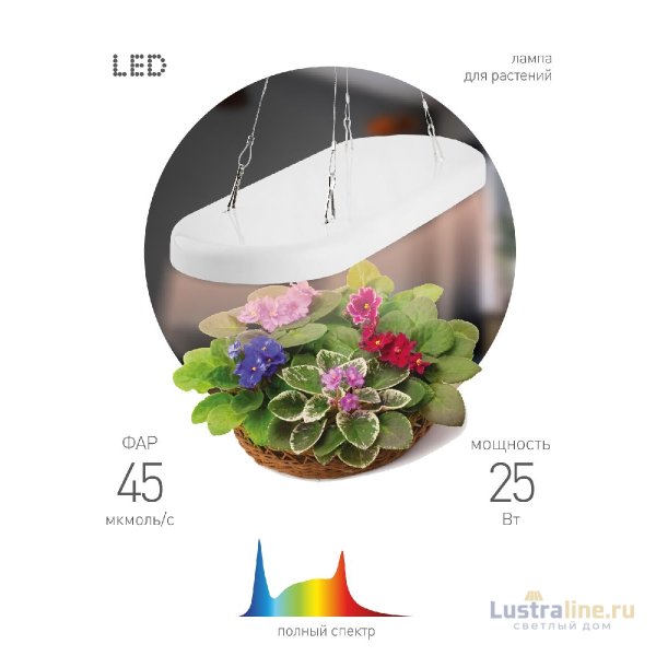 Подвесной светильник для растений Эра FITO-25W-QLED-FLY Б0053062 Подвесной светильник для растений Эра FITO-25W-QLED-FLY Б0053062