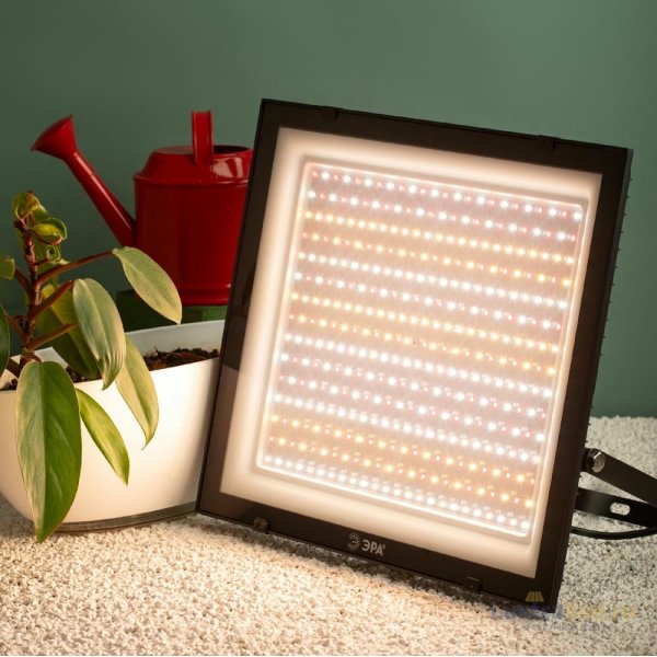 Фитопрожектор Эра FITO-200W-Ra90-LED Б0059879