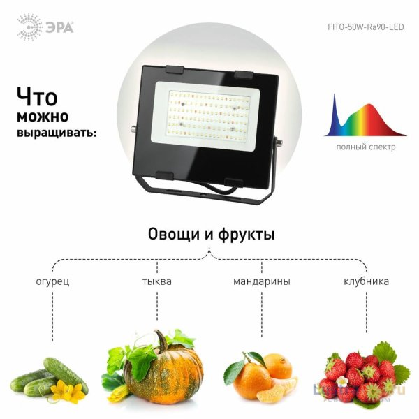 Фитопрожектор для растений ЭРА FITO-50W-Ra90-LED Б0047875 Фитопрожектор для растений ЭРА FITO-50W-Ra90-LED Б0047875