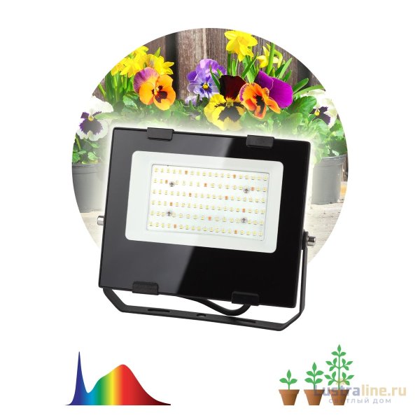 Фитопрожектор для растений ЭРА FITO-50W-Ra90-LED Б0047875 Фитопрожектор для растений ЭРА FITO-50W-Ra90-LED Б0047875