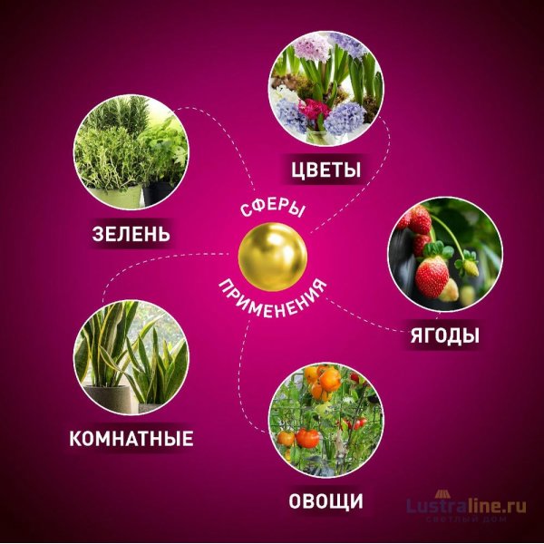 Настольная лампа Эра FITO-20W-АLED-R Б0053290