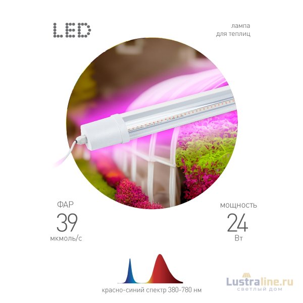 Светильник для растений Эра FITO-24W-RB-N Б0061425 Светильник для растений Эра FITO-24W-RB-N Б0061425