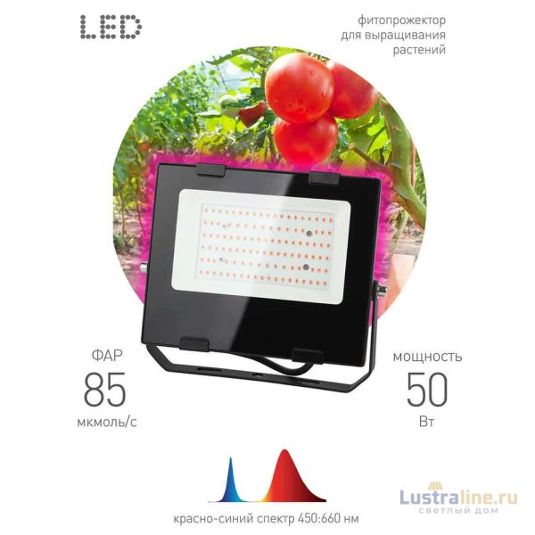 Фитопрожектор для растений ЭРА FITO-50W-RB-LED Б0046368 Фитопрожектор для растений ЭРА FITO-50W-RB-LED Б0046368