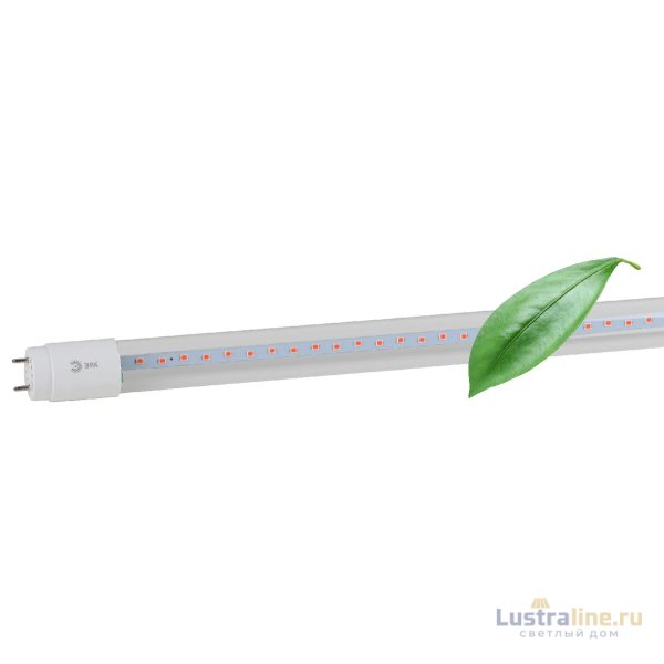 Фитолампа для растений Эра FITO-18W-RB-Т8-G13-NL Б0042990 Фитолампа для растений Эра FITO-18W-RB-Т8-G13-NL Б0042990