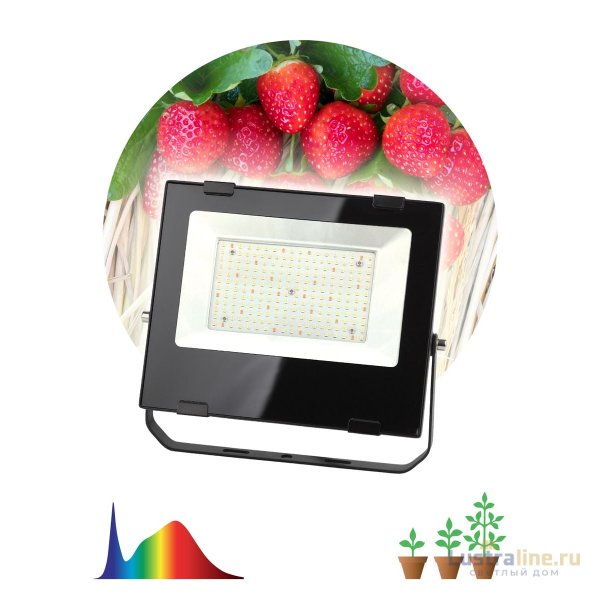 Фитопрожектор для растений ЭРА FITO-100W-Ra90-LED Б0047876 Фитопрожектор для растений ЭРА FITO-100W-Ra90-LED Б0047876