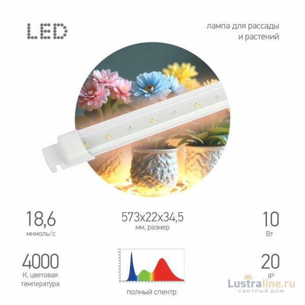 Светильник для растений Эра FITO-10W-Т5-PFR-Slim-GR Б0066968 Светильник для растений Эра FITO-10W-Т5-PFR-Slim-GR Б0066968
