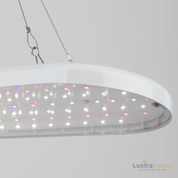 Подвесной светильник для растений Эра FITO-25W-QLED-FLY Б0053062 Подвесной светильник для растений Эра FITO-25W-QLED-FLY Б0053062