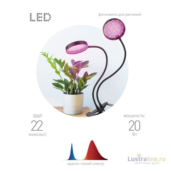 Настольная лампа Эра FITO-20W-АLED-R Б0053290