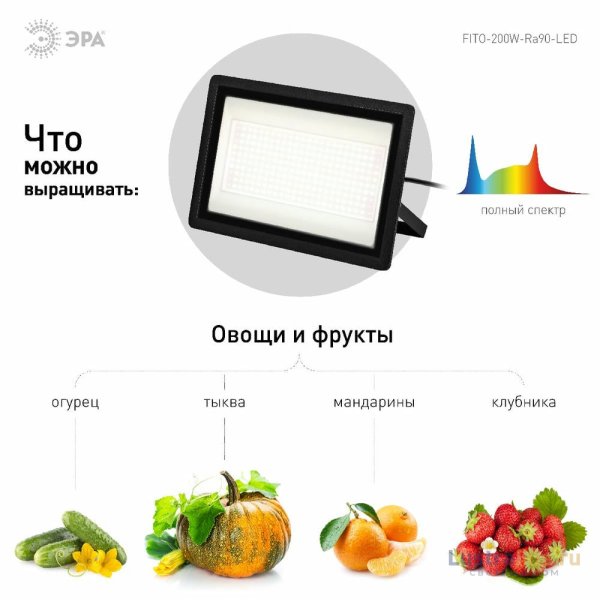 Фитопрожектор Эра FITO-200W-Ra90-LED Б0059879