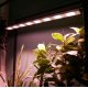 Светильник для растений Uniel ULT-P70B-100W/SPLE/L105 WHITE WINTERGARDEN UL-00011264