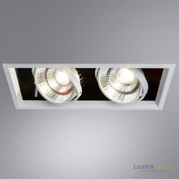 Встраиваемый светильник Arte Lamp Merga A8450PL-2WH Встраиваемый светильник Arte Lamp Merga A8450PL-2WH