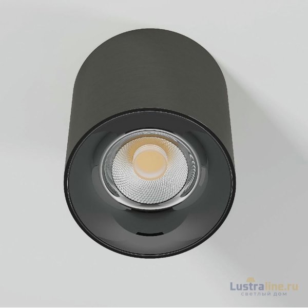 Накладной светильник Elektrostandard Primo 25116/LED 4690389212970 a069415 Накладной светильник Elektrostandard Primo 25116/LED 4690389212970 a069415