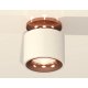 Потолочный светильник Ambrella Light Techno Spot XS7510141 (N7930, C7510, N7015)