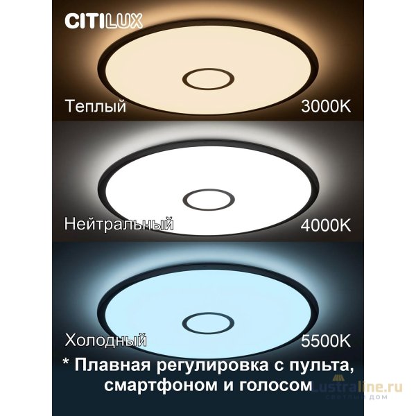 Накладной светильник Citilux CL703A100G