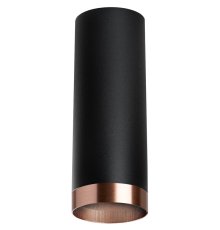 Накладной светильник Lightstar Rullo R487430 (214487+203430)