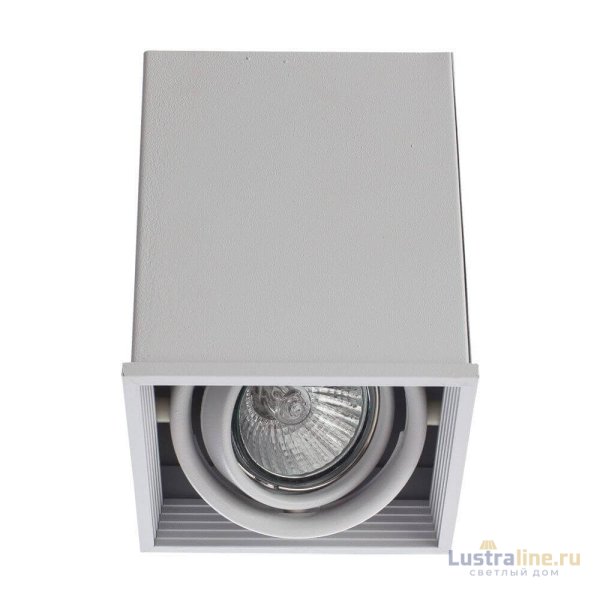 Потолочный светильник Arte Lamp Cardani A5942PL-1WH Потолочный светильник Arte Lamp Cardani A5942PL-1WH