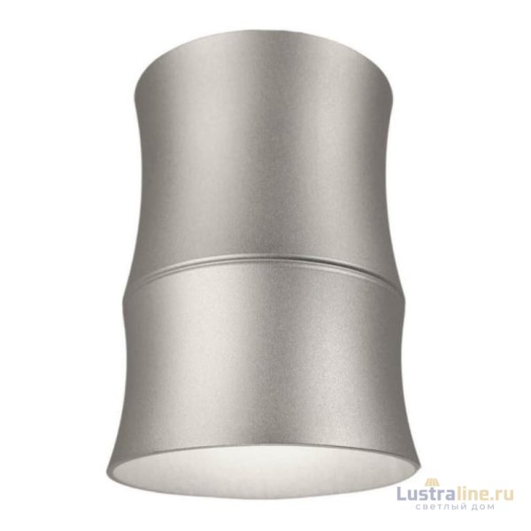Накладной светильник Lumina Deco Riston LDC 8053-C SL