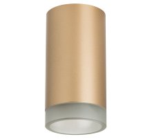 Накладной светильник Lightstar Rullo R44030 (214440+202430)
