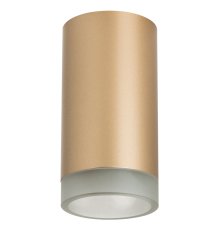 Накладной светильник Lightstar Rullo R44030 (214440+202430)