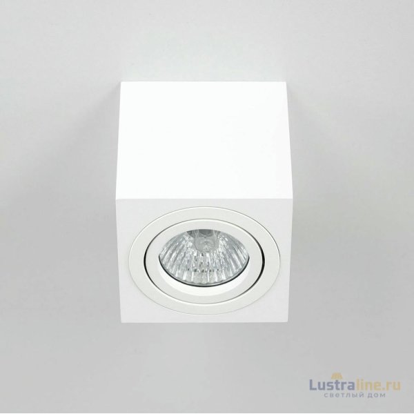 Потолочный светильник Citilux Дюрен CL538211 Потолочный светильник Citilux Дюрен CL538211
