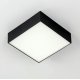 Накладной светильник Citilux Тао CL712X122N